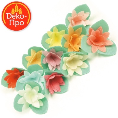 Кактусы на трилистнике (30 мм, 200 штук) фото 1